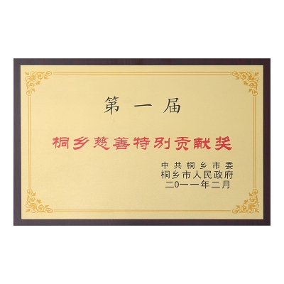 第一屆桐鄉(xiāng)慈善特別貢獻獎