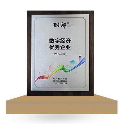數(shù)字經(jīng)濟優(yōu)秀企業(yè)